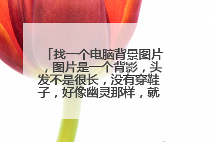 找一个电脑背景图片,图片是一个背影,头发不是很长,没有穿鞋子,好像幽灵那样,就在那里定在那里。