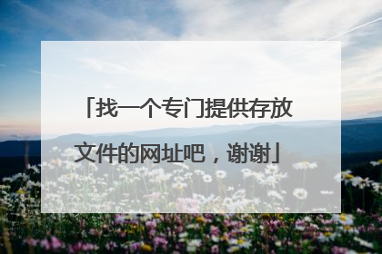 找一个专门提供存放文件的网址吧，谢谢