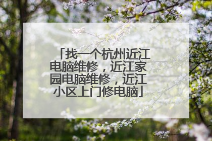找一个杭州近江电脑维修，近江家园电脑维修，近江小区上门修电脑