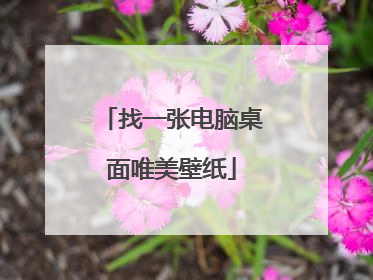 找一张电脑桌面唯美壁纸