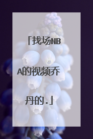 找场NBA的视频乔丹的.