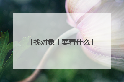 找对象主要看什么