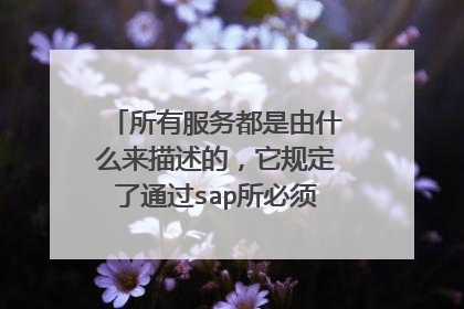 所有服务都是由什么来描述的,它规定了通过sap所必须传递的信息