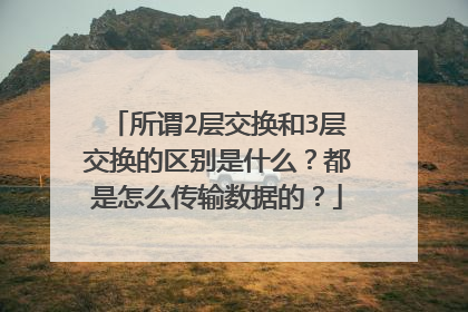 所谓2层交换和3层交换的区别是什么？都是怎么传输数据的？