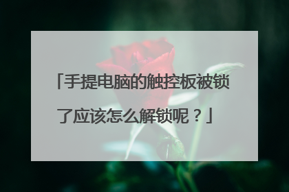 手提电脑的触控板被锁了应该怎么解锁呢？