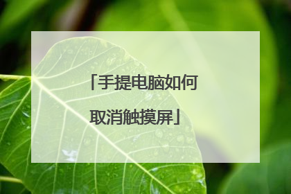 手提电脑如何取消触摸屏