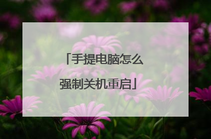 手提电脑怎么强制关机重启