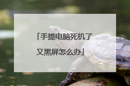 手提电脑死机了又黑屏怎么办