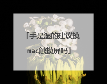 手是湿的建议摸mac触摸屏吗