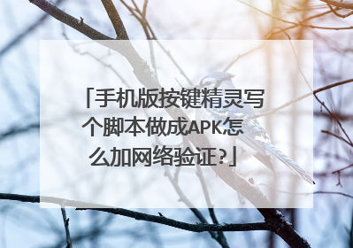 手机版按键精灵写个脚本做成APK怎么加网络验证?