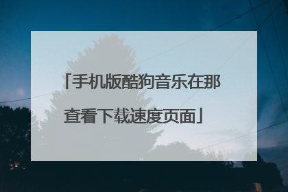 手机版酷狗音乐在那查看下载速度页面