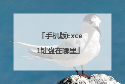 手机版Excel键盘在哪里