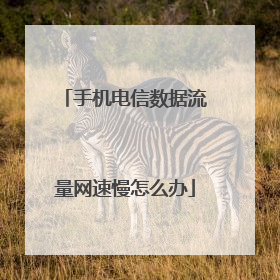 手机电信数据流量网速慢怎么办