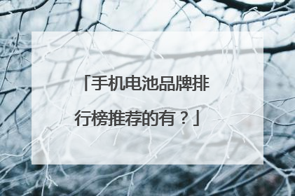 手机电池品牌排行榜推荐的有？