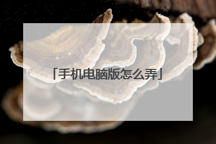 手机电脑版怎么弄