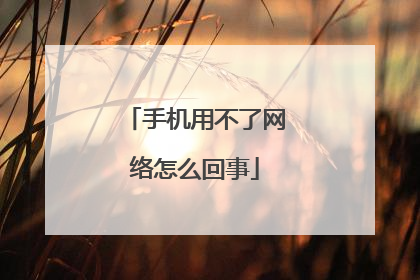 手机用不了网络怎么回事