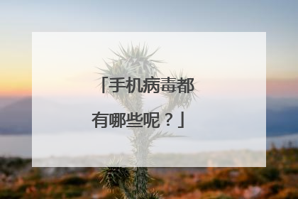 手机病毒都有哪些呢？