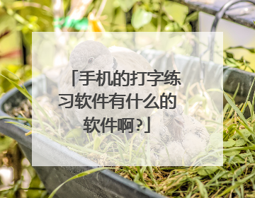 手机的打字练习软件有什么的软件啊?