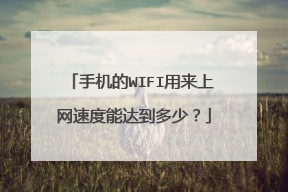 手机的WIFI用来上网速度能达到多少？
