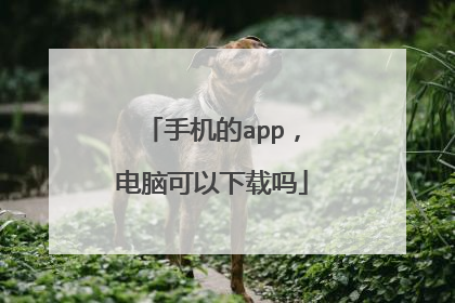 手机的app,电脑可以下载吗