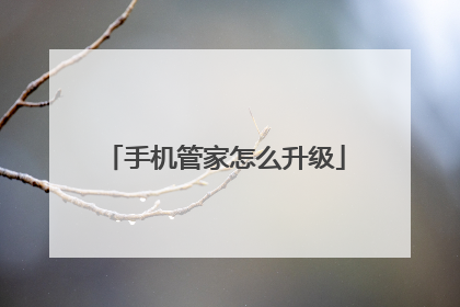 手机管家怎么升级