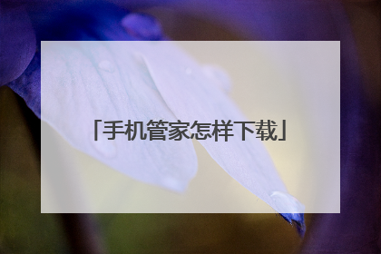 手机管家怎样下载