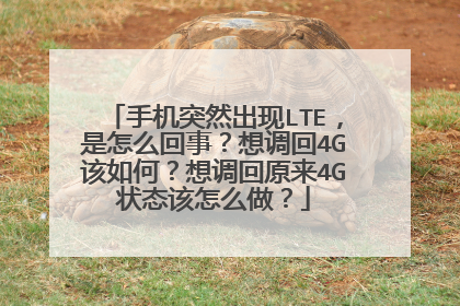 手机突然出现LTE,是怎么回事?想调回4G该如何?想调回原来4G状态该怎么做?