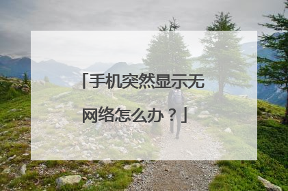 手机突然显示无网络怎么办？