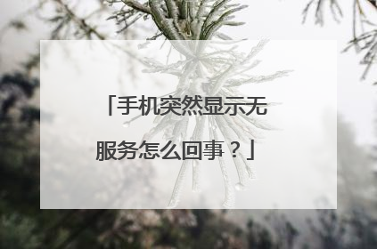 手机突然显示无服务怎么回事?