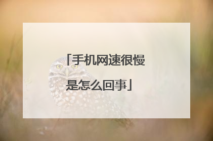 手机网速很慢是怎么回事