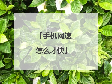 手机网速怎么才快