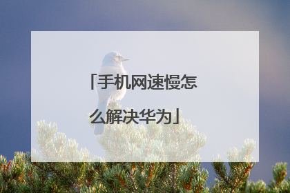 手机网速慢怎么解决华为