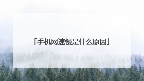 手机网速慢是什么原因