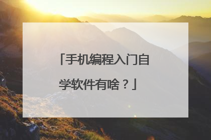 手机编程入门自学软件有啥？