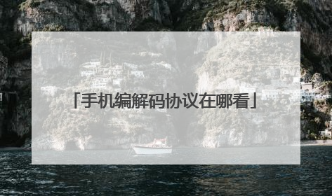 手机编解码协议在哪看