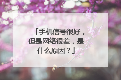 手机信号很好，但是网络很差，是什么原因？
