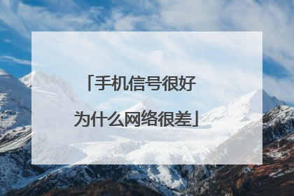 手机信号很好 为什么网络很差