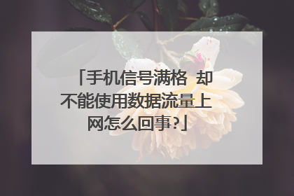手机信号满格 却不能使用数据流量上网怎么回事?