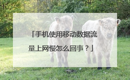 手机使用移动数据流量上网慢怎么回事？
