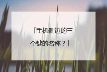 手机侧边的三个键的名称？