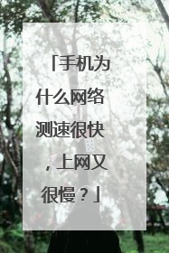 手机为什么网络测速很快，上网又很慢？