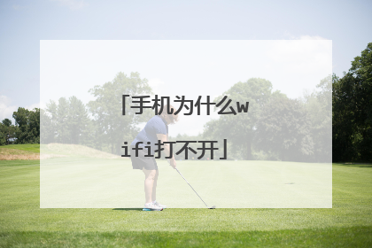 手机为什么wifi打不开