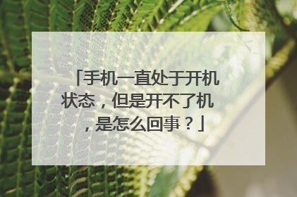 手机一直处于开机状态,但是开不了机,是怎么回事?