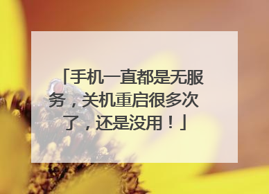 手机一直都是无服务,关机重启很多次了,还是没用!