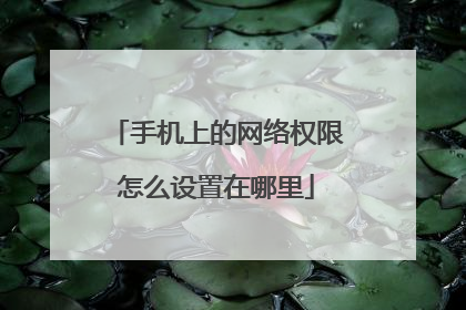 手机上的网络权限怎么设置在哪里