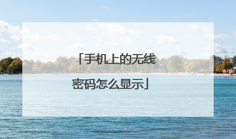 手机上的无线密码怎么显示