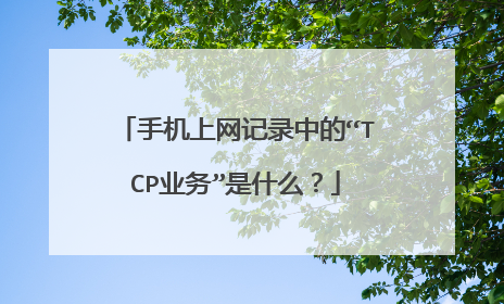 手机上网记录中的“TCP业务”是什么?