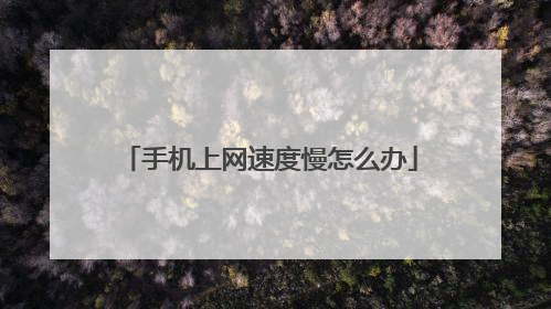 手机上网速度慢怎么办