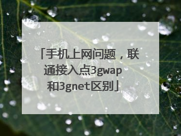 手机上网问题，联通接入点3gwap和3gnet区别