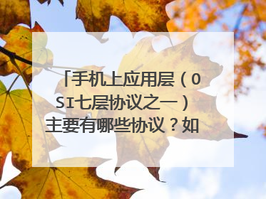 手机上应用层(OSI七层协议之一)主要有哪些协议?如http、pop3、ftp 谢谢!